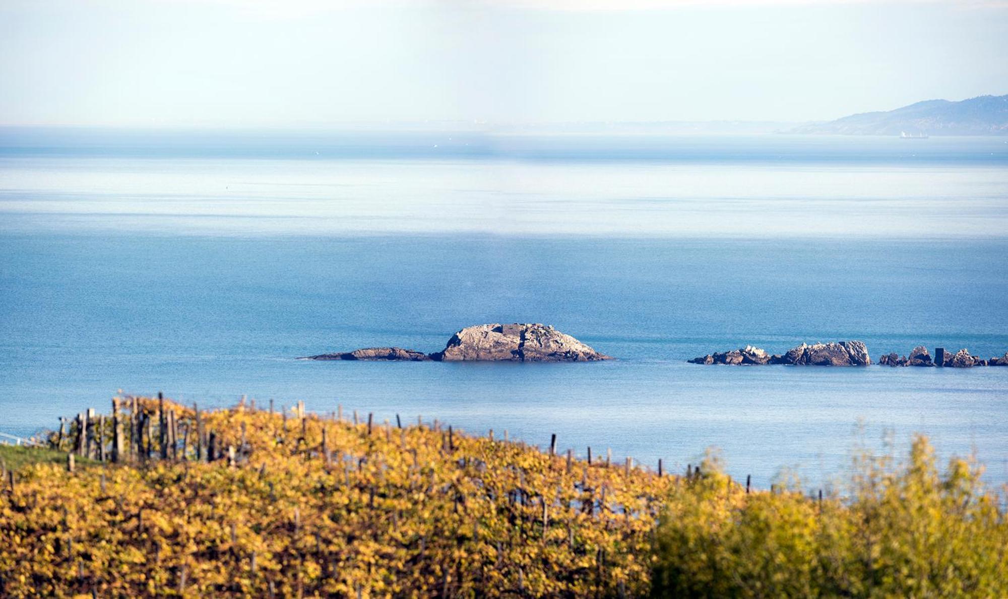 Appartamento Aterian Euromar II Zarautz Esterno foto